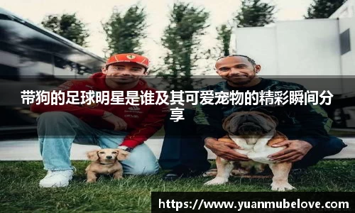带狗的足球明星是谁及其可爱宠物的精彩瞬间分享