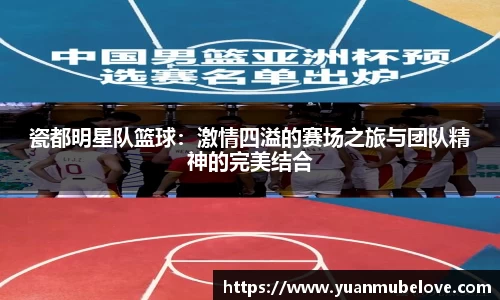 瓷都明星队篮球：激情四溢的赛场之旅与团队精神的完美结合